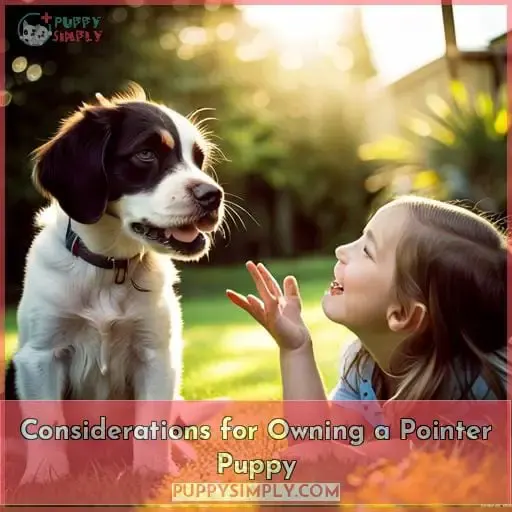 Considerations for Owning a Pointer Puppy