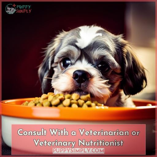 Consult With a Veterinarian or Veterinary Nutritionist