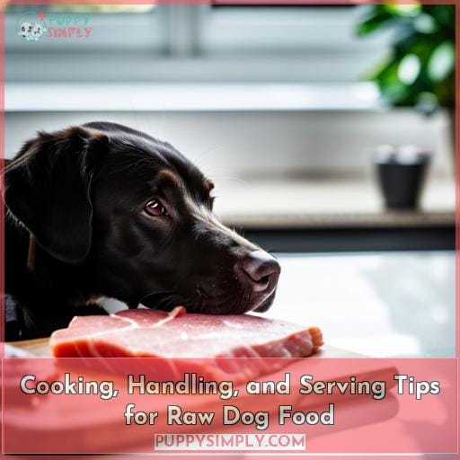 Cooking, Handling, and Serving Tips for Raw Dog Food