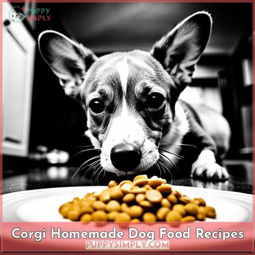 Corgi Homemade Dog Food Recipes