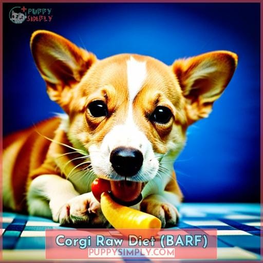 Corgi Raw Diet (BARF)