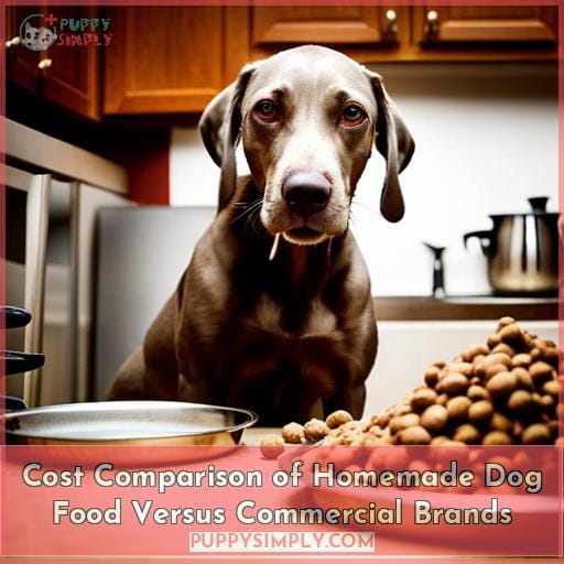 Weimaraner Homemade Dog Food: Health Benefits & Recipes