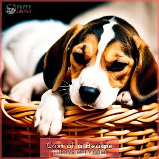 Cost of a Beagle