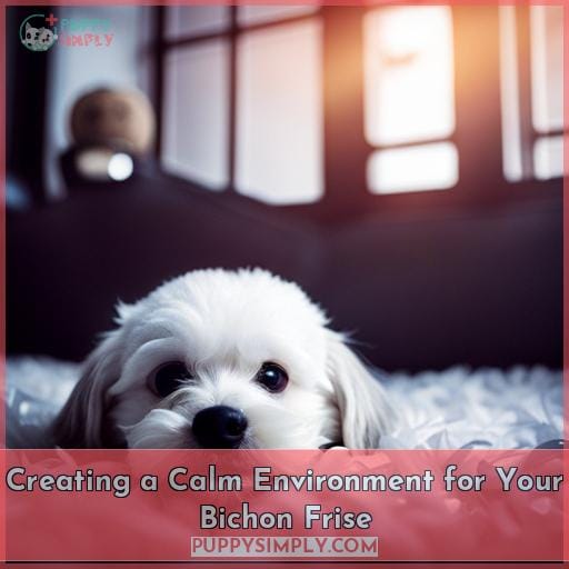 Creating a Calm Environment for Your Bichon Frise