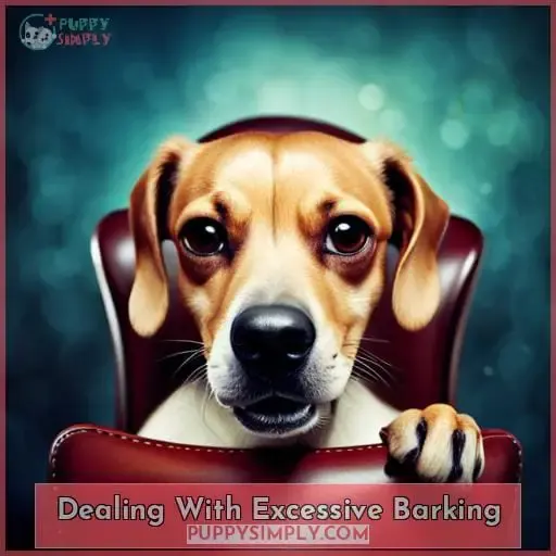 Dealing With Excessive Barking
