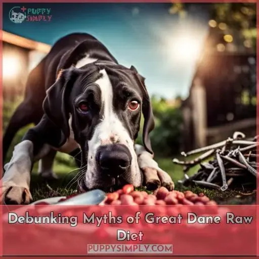 Debunking Myths of Great Dane Raw Diet