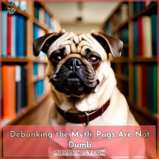 Debunking the Myth: Pugs Are Not Dumb