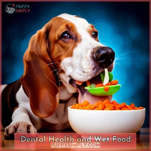 Dental Health and Wet Food