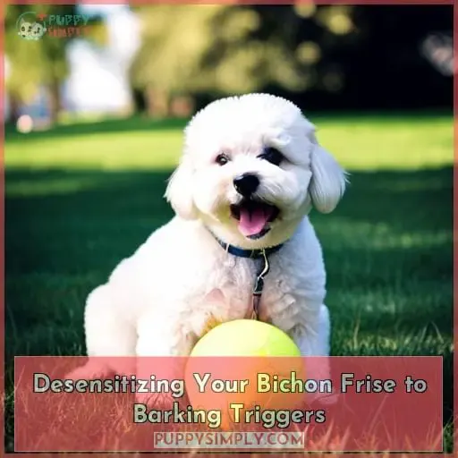 Desensitizing Your Bichon Frise to Barking Triggers