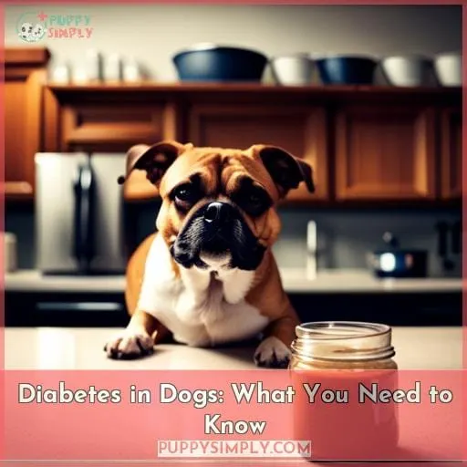 Diabetes in Dogs: What You Need to Know