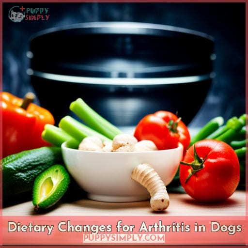 Dietary Changes for Arthritis in Dogs