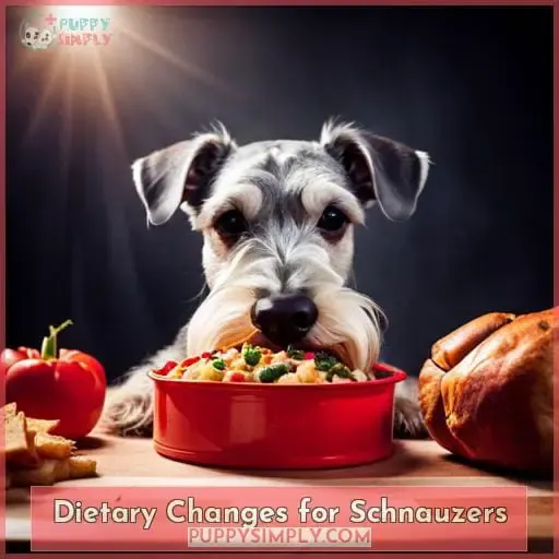Dietary Changes for Schnauzers