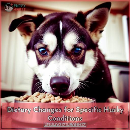 Dietary Changes for Specific Husky Conditions