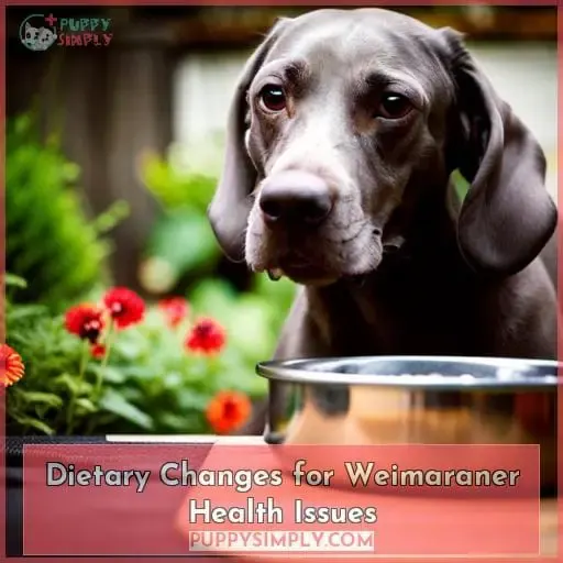 Dietary Changes for Weimaraner Health Issues