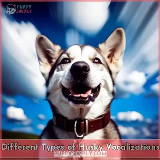 Different Types of Husky Vocalizations