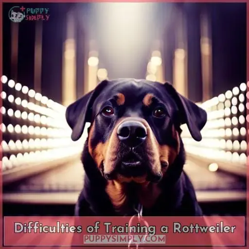 Difficulties of Training a Rottweiler