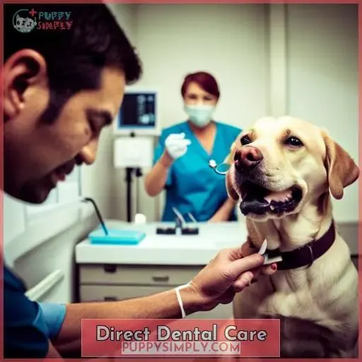 Direct Dental Care