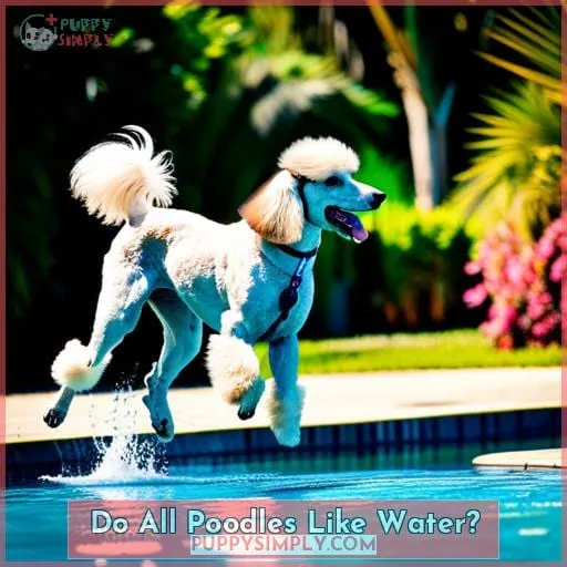 Do All Poodles Like Water