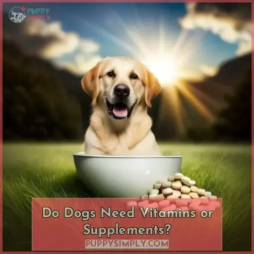 Do Dogs Need Vitamins or Supplements