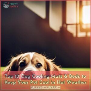 dog cooling mat