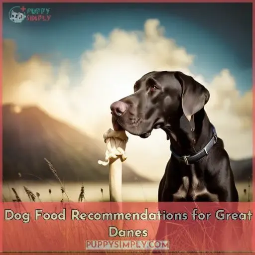 Dog Food Recommendations for Great Danes