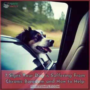 dog suffering from chronic boredom