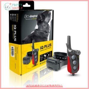 Dogtra iQ Plus Dog Training 140522