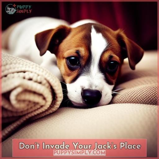 Don’t Invade Your Jack’s Place