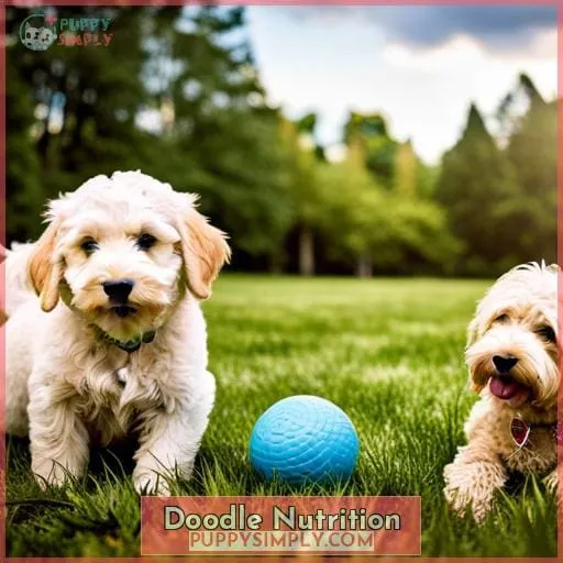 Doodle Nutrition