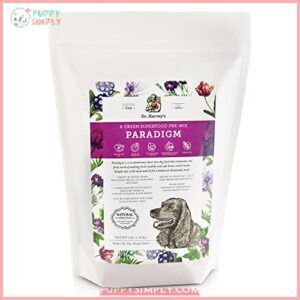Dr. Harvey's Paradigm Green Superfood B07MRFJ2L2