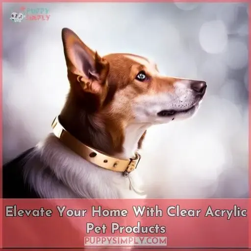 Elevate Your Home With Clear Acrylic Pet Products