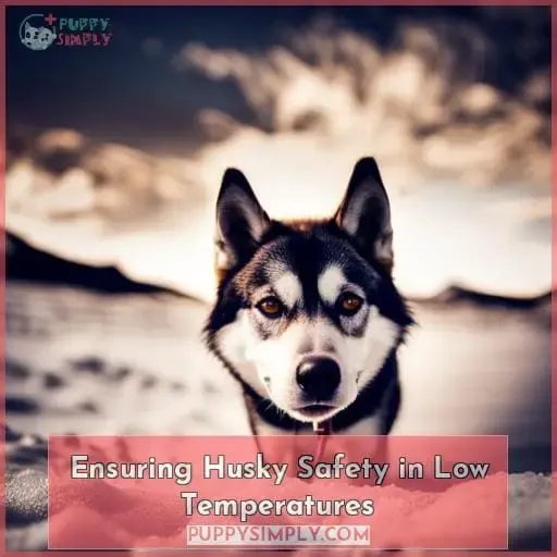 Ensuring Husky Safety in Low Temperatures