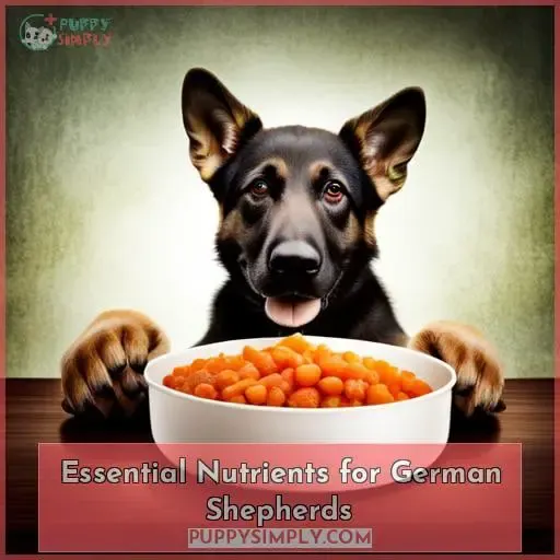 Essential Nutrients for German Shepherds