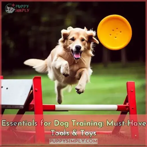 essentials for dog training