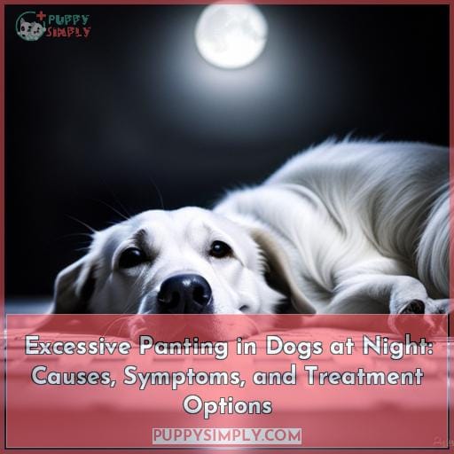 Excessive Panting in Dogs at Night: Causes, Symptoms, and Treatment Options