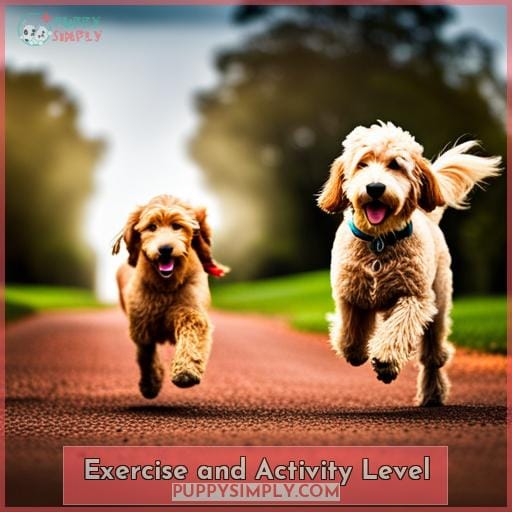 Exercise and Activity Level
