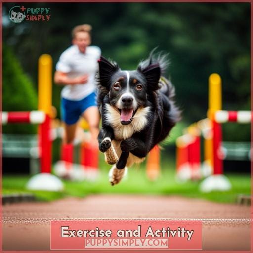 Exercise and Activity