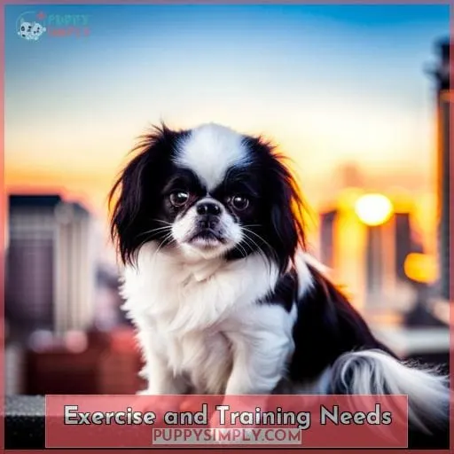 Exercise and Training Needs