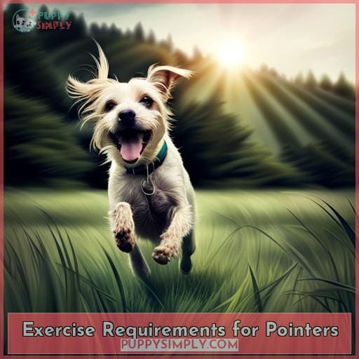 Exercise Requirements for Pointers