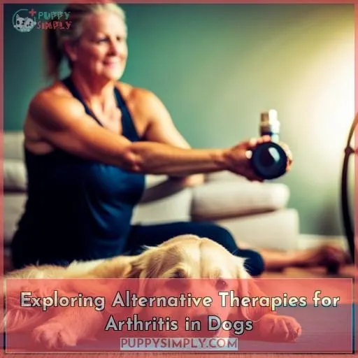 Exploring Alternative Therapies for Arthritis in Dogs
