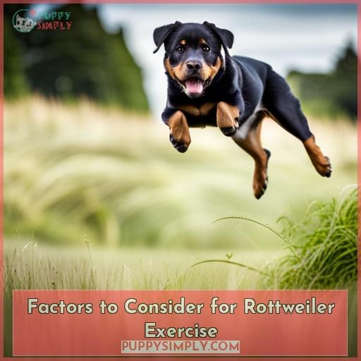 Factors to Consider for Rottweiler Exercise