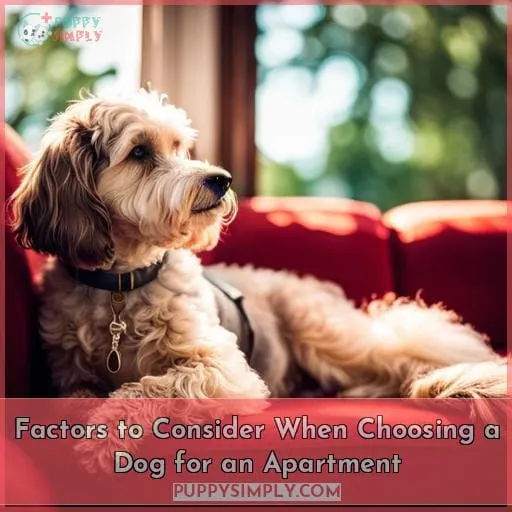 Factors to Consider When Choosing a Dog for an Apartment