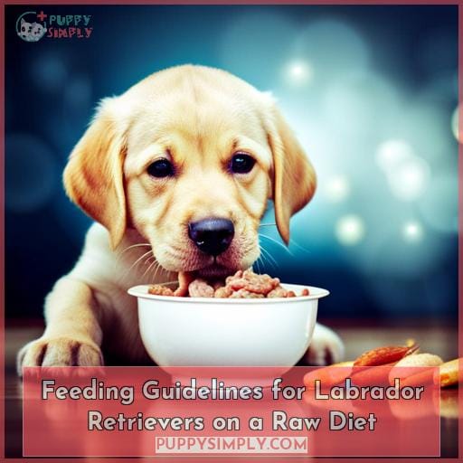 Feeding Guidelines for Labrador Retrievers on a Raw Diet