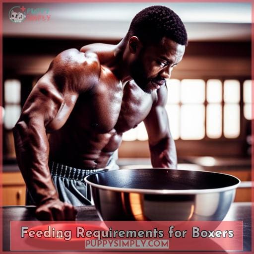 Feeding Requirements for Boxers