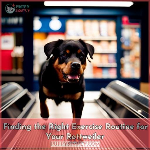 Finding the Right Exercise Routine for Your Rottweiler