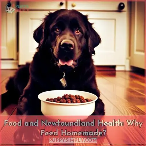 Food and Newfoundland Health: Why Feed Homemade