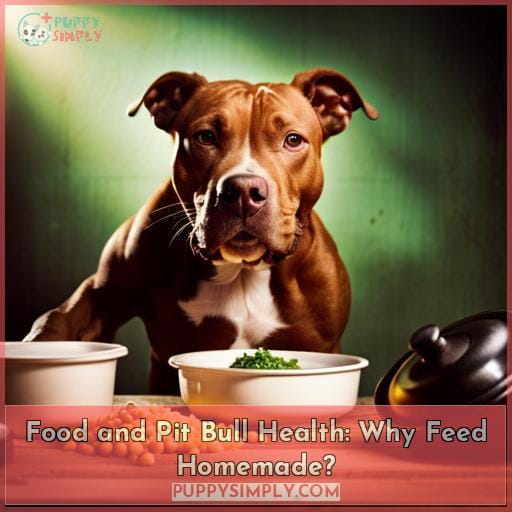 Food and Pit Bull Health: Why Feed Homemade
