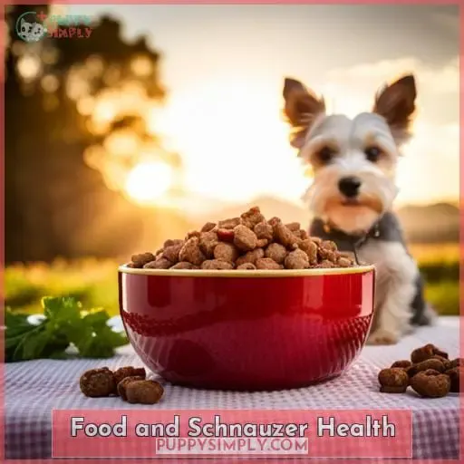 Food and Schnauzer Health