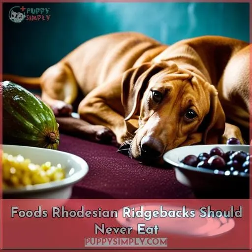 Foods Rhodesian Ridgebacks Should Never Eat