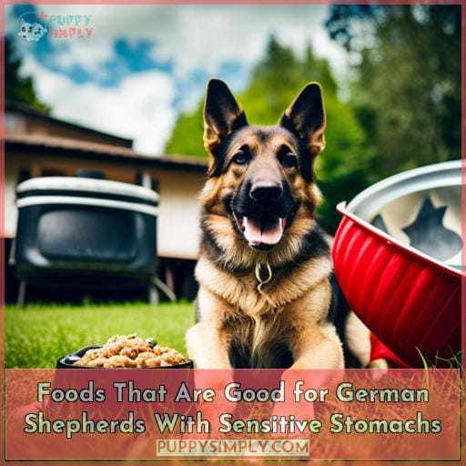 Foods That Are Good for German Shepherds With Sensitive Stomachs